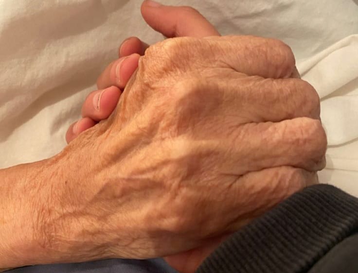 A picture of handhold
